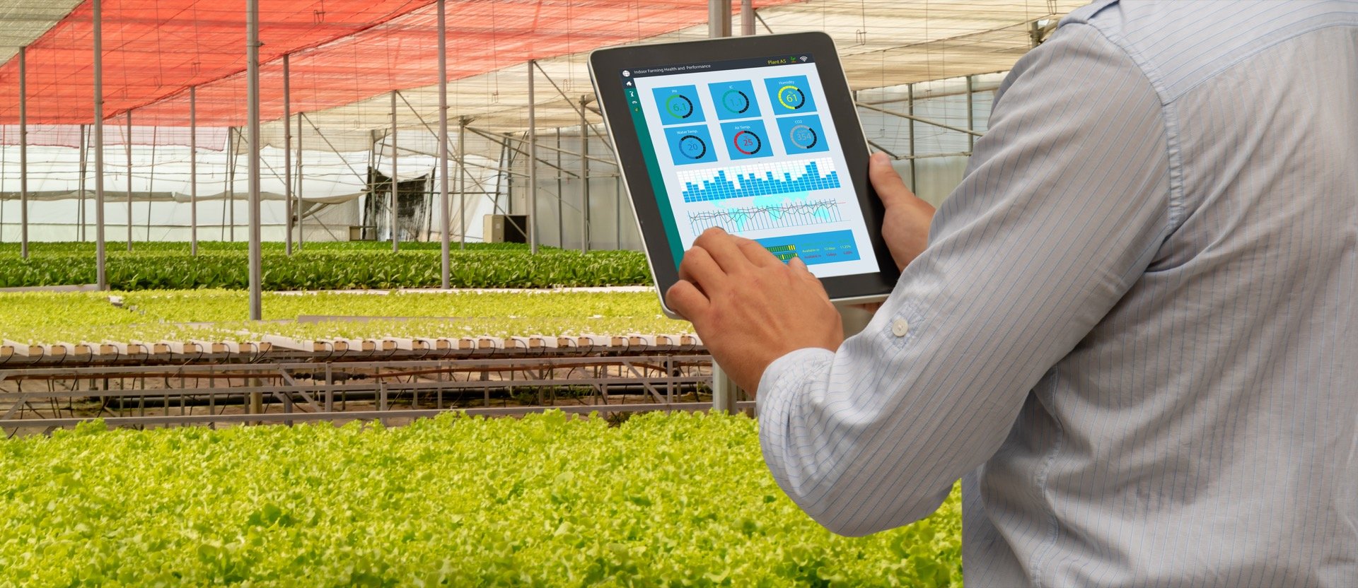 A grower checking a tablet showing pH, humidity and temperature readings in a greenhouse.
