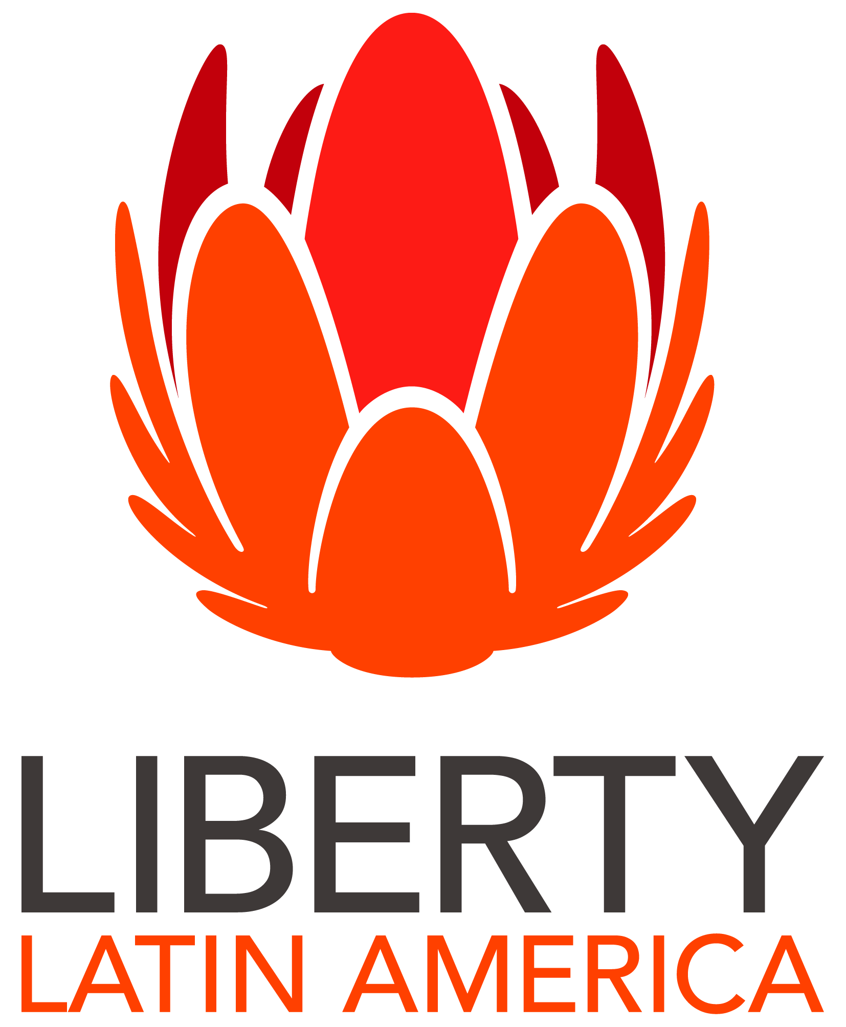 LLA Logo Orange